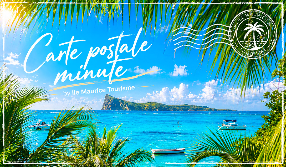 Carte Postale Minute / Bain Bœuf